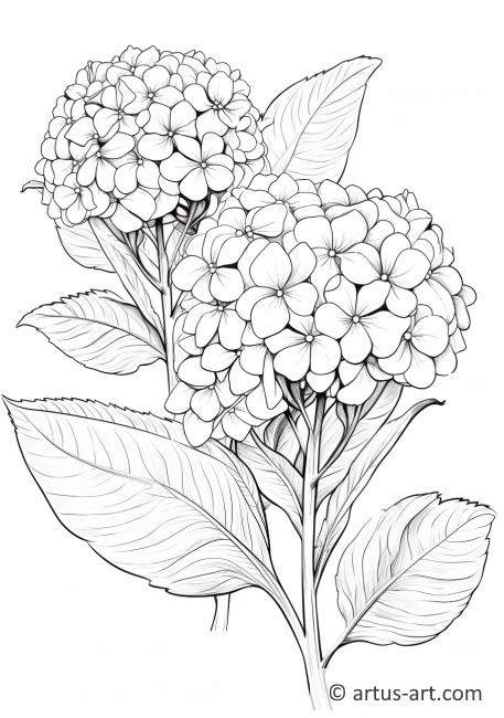 Page de coloriage Harmonie d'hortensias